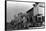 Telluride, Colorado - View of a Pack Train-Lantern Press-Framed Stretched Canvas