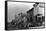 Telluride, Colorado - View of a Pack Train-Lantern Press-Framed Stretched Canvas