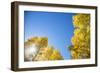 Telluride, Colorado-Justin Bailie-Framed Photographic Print