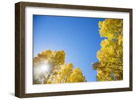 Telluride, Colorado-Justin Bailie-Framed Photographic Print