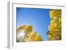 Telluride, Colorado-Justin Bailie-Framed Photographic Print