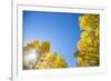 Telluride, Colorado-Justin Bailie-Framed Photographic Print