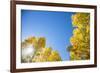 Telluride, Colorado-Justin Bailie-Framed Photographic Print