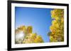 Telluride, Colorado-Justin Bailie-Framed Photographic Print