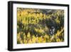 Telluride, Colorado-Justin Bailie-Framed Photographic Print