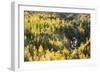 Telluride, Colorado-Justin Bailie-Framed Photographic Print