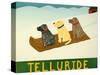 Telluride Sled Dogs-Stephen Huneck-Stretched Canvas