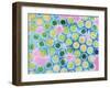 TEM Herpes Simplex Virus-null-Framed Photographic Print