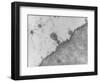 TEM of T4 Bacteriophage Infecting E. Coli-J. Broek-Framed Photographic Print