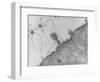 TEM of T4 Bacteriophage Infecting E. Coli-J. Broek-Framed Photographic Print