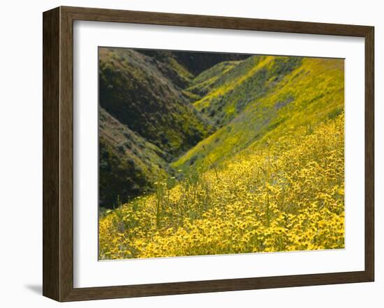 Temblor Range, Overlapping Hills in Fog, Kern County, California, USA-Terry Eggers-Framed Premium Photographic Print