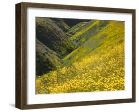 Temblor Range, Overlapping Hills in Fog, Kern County, California, USA-Terry Eggers-Framed Premium Photographic Print