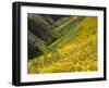 Temblor Range, Overlapping Hills in Fog, Kern County, California, USA-Terry Eggers-Framed Premium Photographic Print