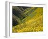 Temblor Range, Overlapping Hills in Fog, Kern County, California, USA-Terry Eggers-Framed Premium Photographic Print