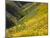 Temblor Range, Overlapping Hills in Fog, Kern County, California, USA-Terry Eggers-Mounted Premium Photographic Print