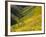 Temblor Range, Overlapping Hills in Fog, Kern County, California, USA-Terry Eggers-Framed Photographic Print