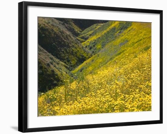 Temblor Range, Overlapping Hills in Fog, Kern County, California, USA-Terry Eggers-Framed Photographic Print