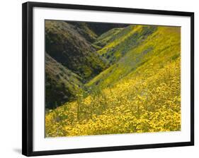 Temblor Range, Overlapping Hills in Fog, Kern County, California, USA-Terry Eggers-Framed Photographic Print
