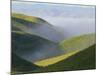 Temblor Range, Overlapping Hills in Fog, Kern County, California, USA-Terry Eggers-Mounted Photographic Print