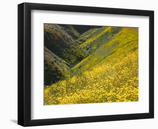 Temblor Range, Overlapping Hills in Fog, Kern County, California, USA-Terry Eggers-Framed Photographic Print