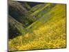 Temblor Range, Overlapping Hills in Fog, Kern County, California, USA-Terry Eggers-Mounted Photographic Print