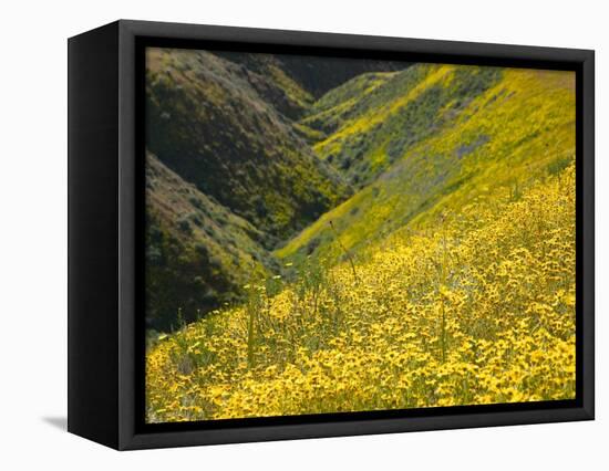 Temblor Range, Overlapping Hills in Fog, Kern County, California, USA-Terry Eggers-Framed Stretched Canvas