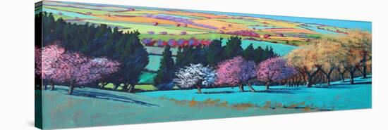 Teme Valley April (Acrylic on Board)-Paul Powis-Stretched Canvas