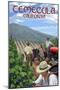 Temecula, California - Wine Grape Harvest-Lantern Press-Mounted Art Print