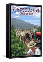 Temecula, California - Wine Grape Harvest-Lantern Press-Framed Stretched Canvas