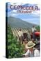 Temecula, California - Wine Grape Harvest-Lantern Press-Stretched Canvas