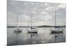 Temiscouata Sur Le Lac, Quebec Province, Canada, North America-Michael Snell-Mounted Photographic Print