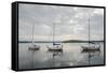 Temiscouata Sur Le Lac, Quebec Province, Canada, North America-Michael Snell-Framed Stretched Canvas