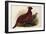 Temminck's Tragopan (Ceriornis Temminckii)-Henry Constantine Richter-Framed Giclee Print