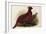 Temminck's Tragopan (Ceriornis Temminckii)-Henry Constantine Richter-Framed Giclee Print