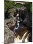 Temperance River State Park, Schroeder, Minnesota, USA-Peter Hawkins-Mounted Photographic Print