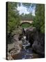 Temperance River State Park, Schroeder, Minnesota, USA-Peter Hawkins-Stretched Canvas