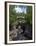 Temperance River State Park, Schroeder, Minnesota, USA-Peter Hawkins-Framed Premium Photographic Print