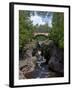 Temperance River State Park, Schroeder, Minnesota, USA-Peter Hawkins-Framed Premium Photographic Print