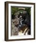 Temperance River State Park, Schroeder, Minnesota, USA-Peter Hawkins-Framed Photographic Print