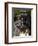 Temperance River State Park, Schroeder, Minnesota, USA-Peter Hawkins-Framed Photographic Print