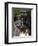 Temperance River State Park, Schroeder, Minnesota, USA-Peter Hawkins-Framed Photographic Print