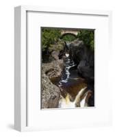 Temperance River State Park, Schroeder, Minnesota, USA-Peter Hawkins-Framed Photographic Print