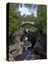 Temperance River State Park, Schroeder, Minnesota, USA-Peter Hawkins-Stretched Canvas