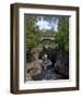 Temperance River State Park, Schroeder, Minnesota, USA-Peter Hawkins-Framed Photographic Print