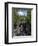 Temperance River State Park, Schroeder, Minnesota, USA-Peter Hawkins-Framed Photographic Print