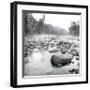 Temperance River-Stephen Gassman-Framed Giclee Print