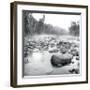 Temperance River-Stephen Gassman-Framed Giclee Print