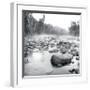 Temperance River-Stephen Gassman-Framed Giclee Print
