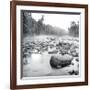 Temperance River-Stephen Gassman-Framed Giclee Print