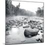 Temperance River-Stephen Gassman-Mounted Giclee Print